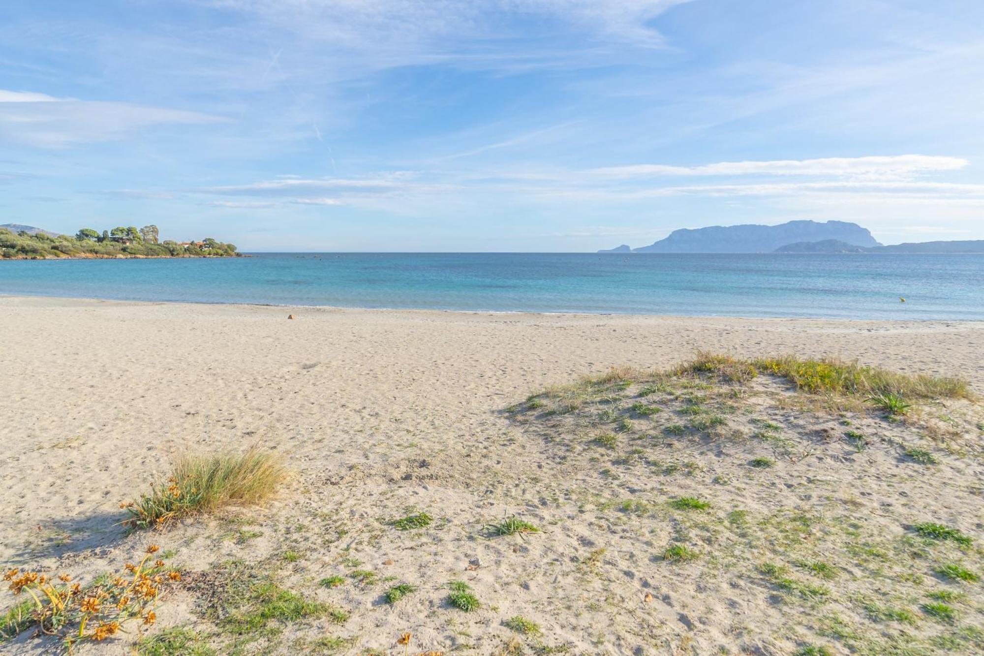 Brorent Casa Di Nettuno Lägenhet Olbia Exteriör bild